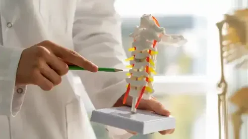 What is the Main Cause of Scoliosis?